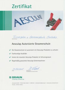 Zertifikat Aesculap Groomerschule 4